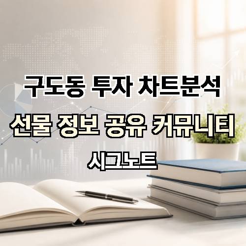 게시판 이미지 2619