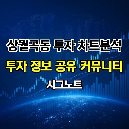 게시판 이미지 3076