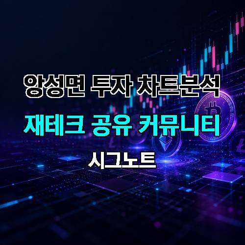 게시판 이미지 4905