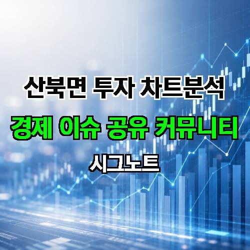 게시판 이미지 801