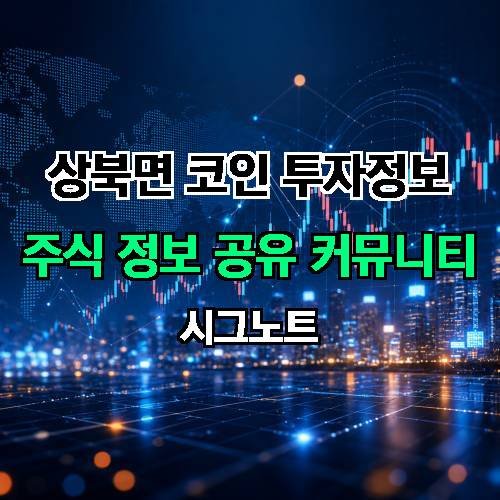 게시판 이미지 1301