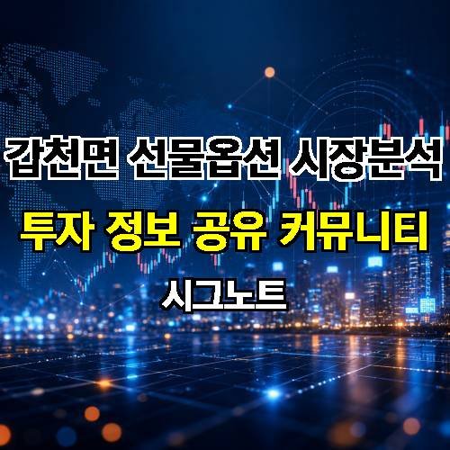 게시판 이미지 312
