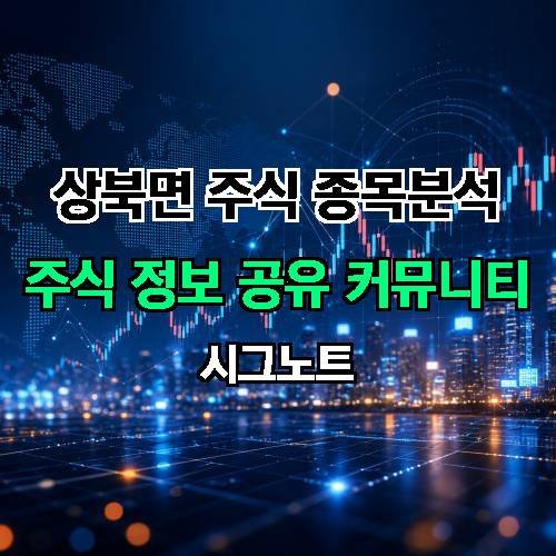 게시판 이미지 1301